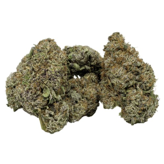 Screenshot 2025-11-09 at 3.35.52 PM.png