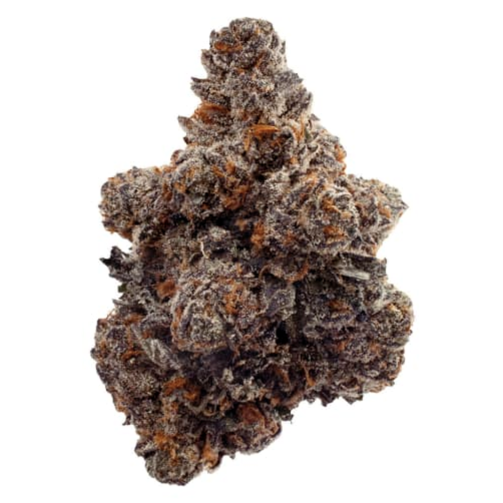 Close-up of a marijuana cannabis bud with purple and orange hues and frosty trichomes