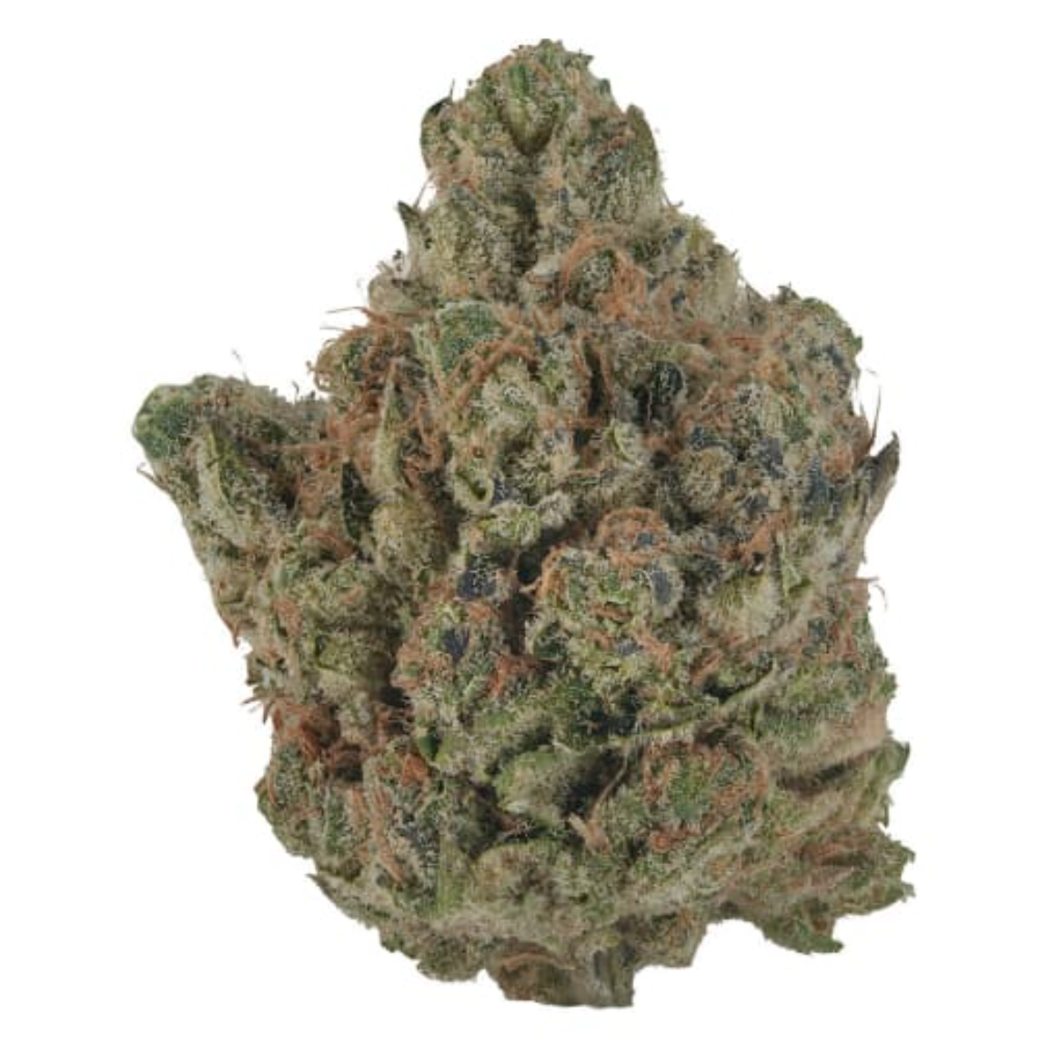Close-up of a cannabis bud with green and orange coloration and frosty trichomes