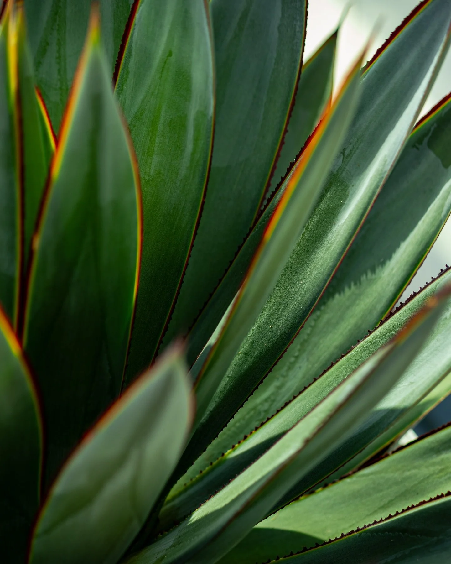 A few of our favourites. Textures, tones and unique elements in every pocket. #createyourescape