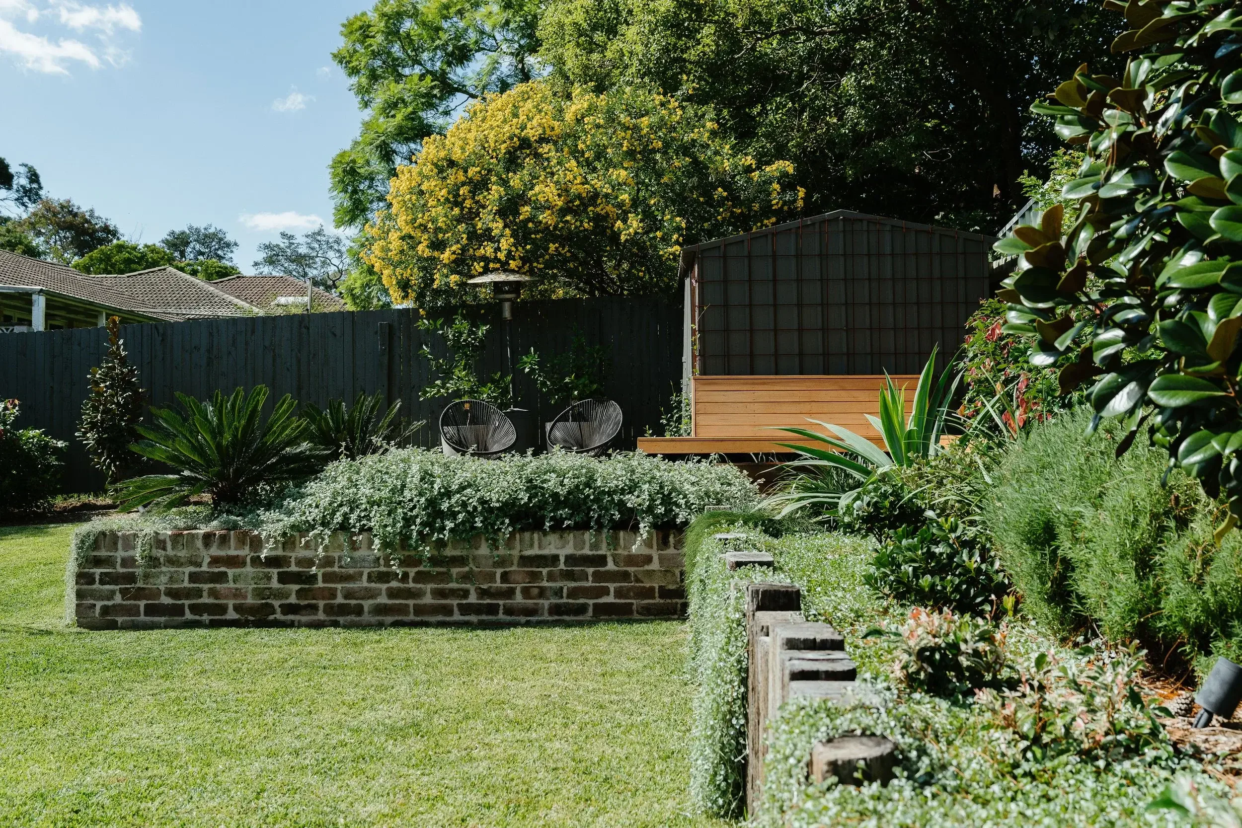 Modern house exterior with textured garden planting and paved area.