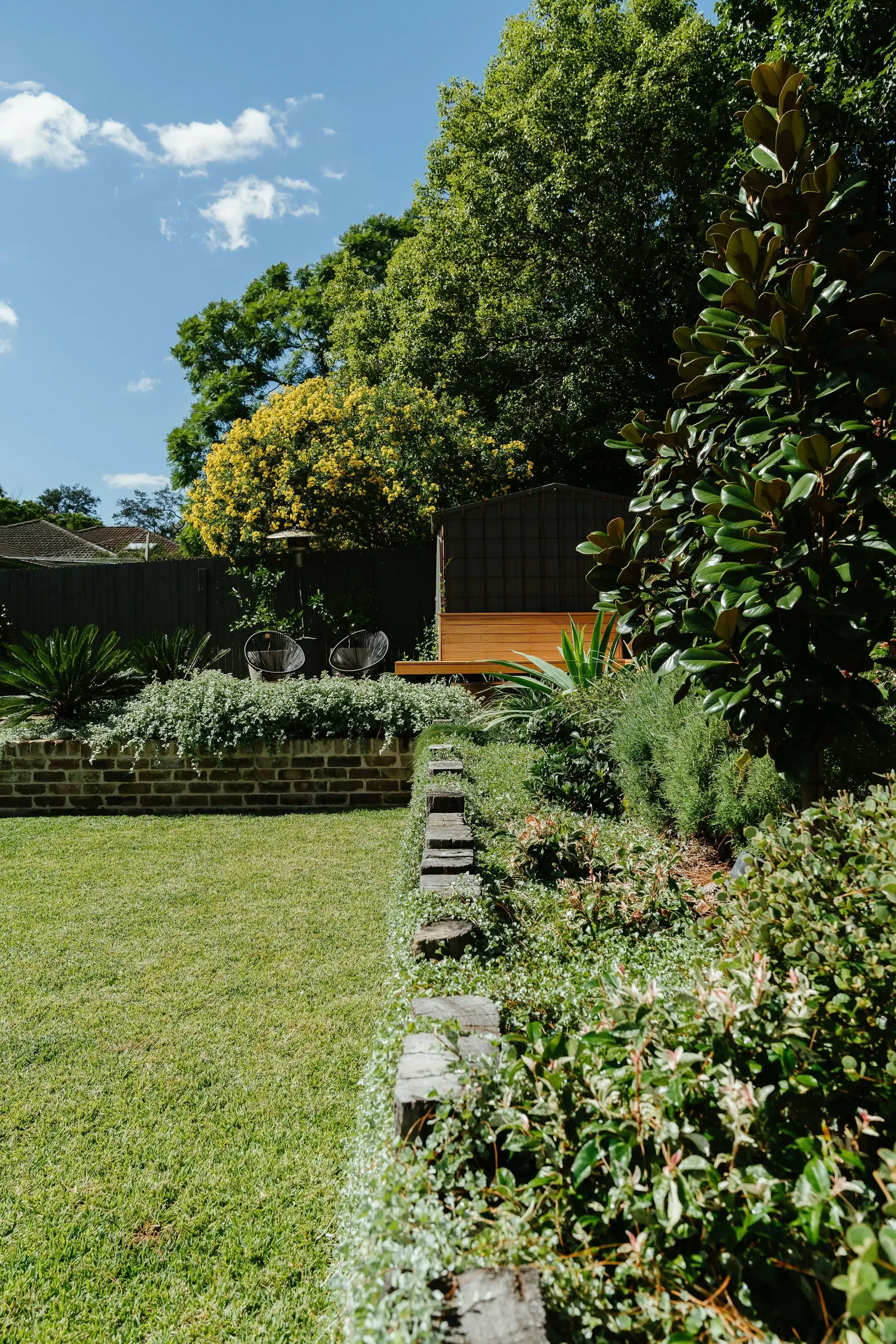 Modern landscaped garden with spiky plants and clean paved surfaces.