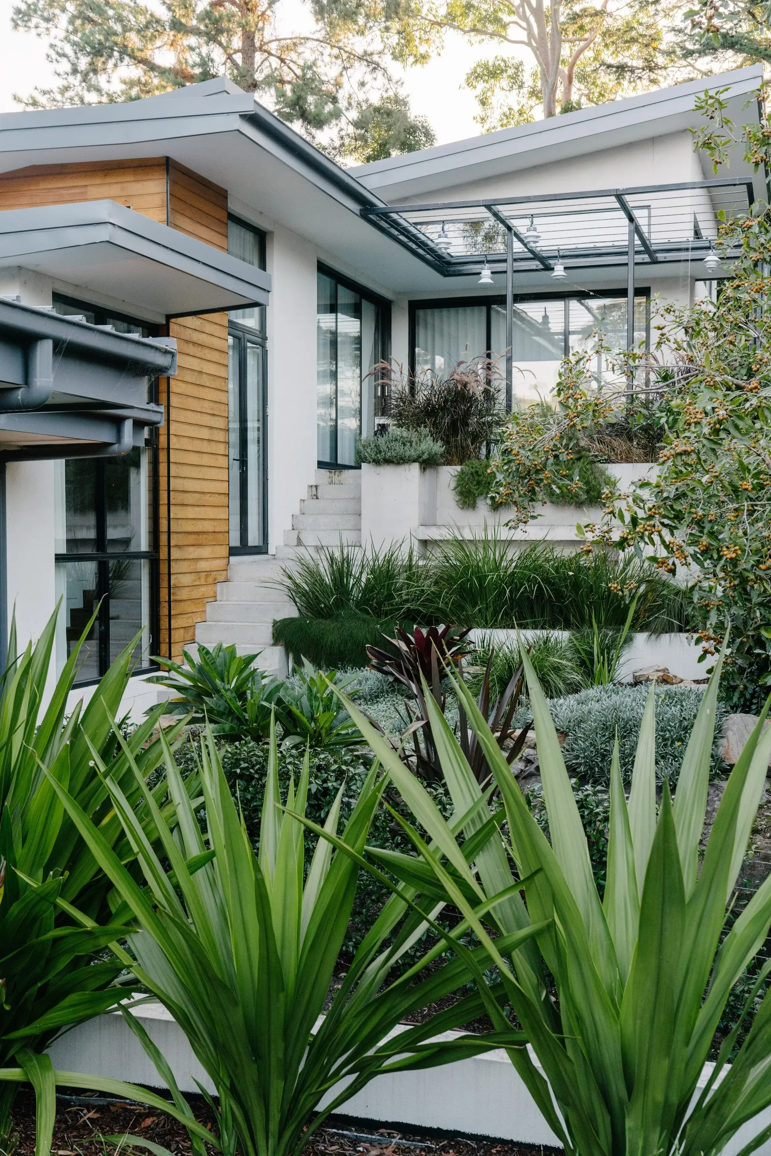 Modern landscaped outdoor space with stone path, green lawn, and mixed planting around a house.