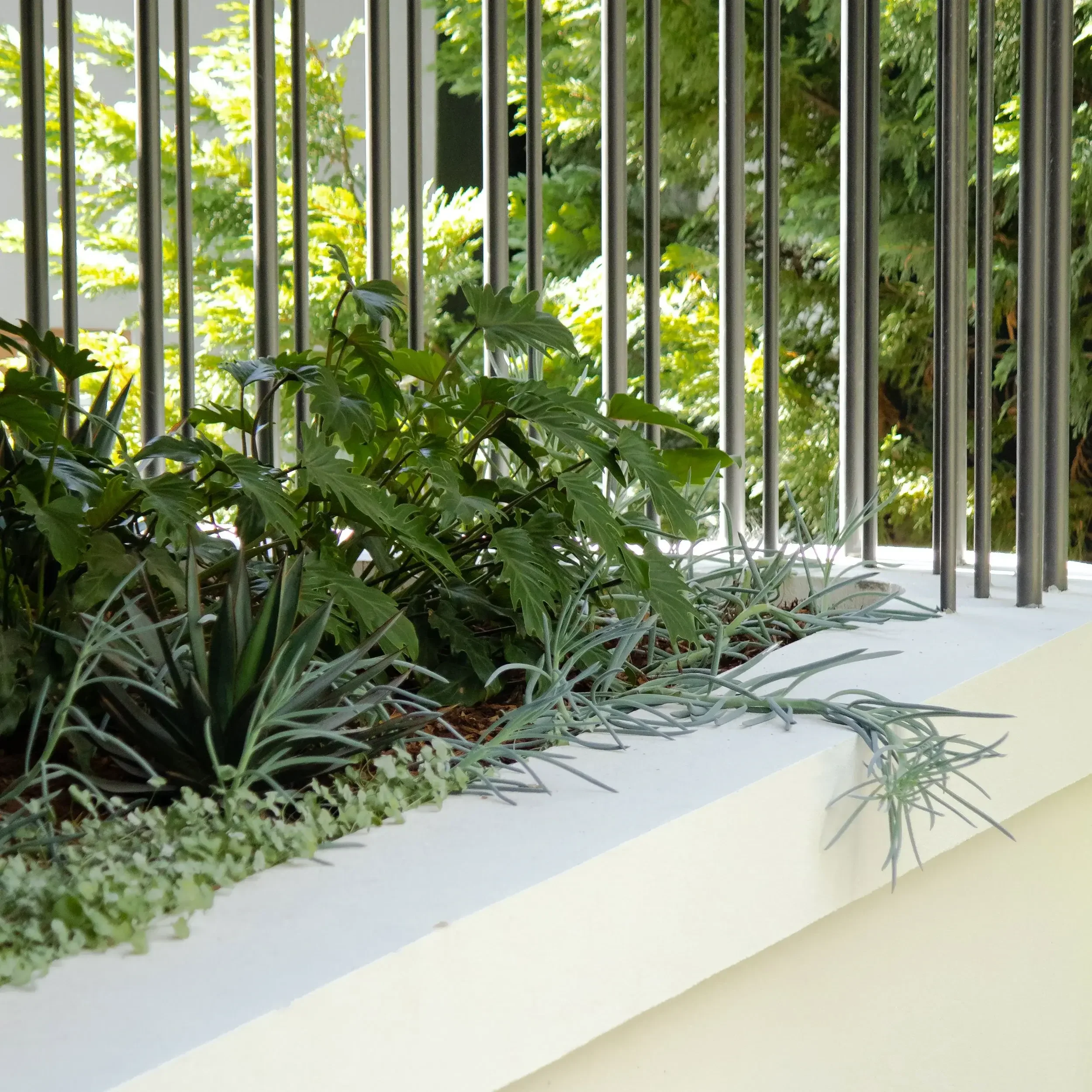 Planter box with green leafy plants next to vertical metal railings and trees in the background