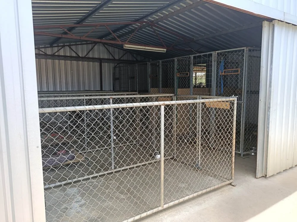 Boarding Kennels Down South Boarding Kennels