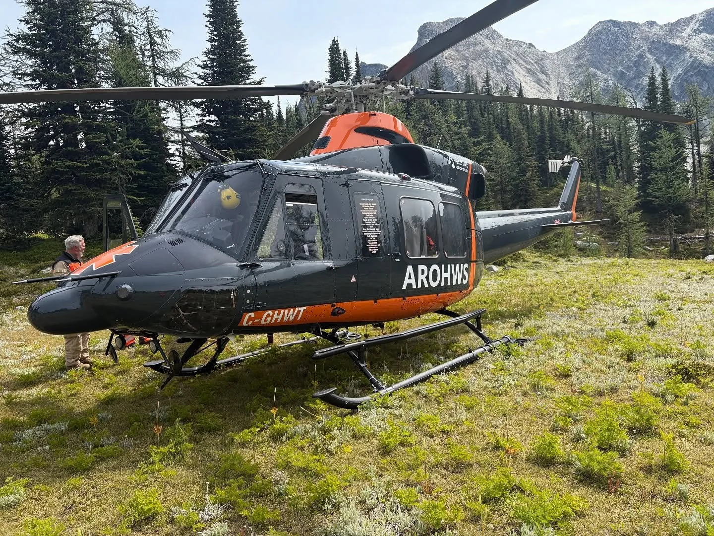 Quick stop in a beautiful alpine meadow.