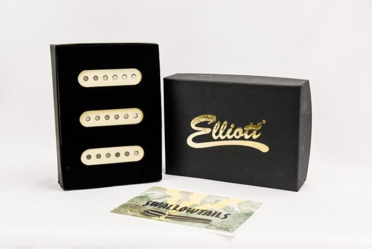 Elliott Swallowtail