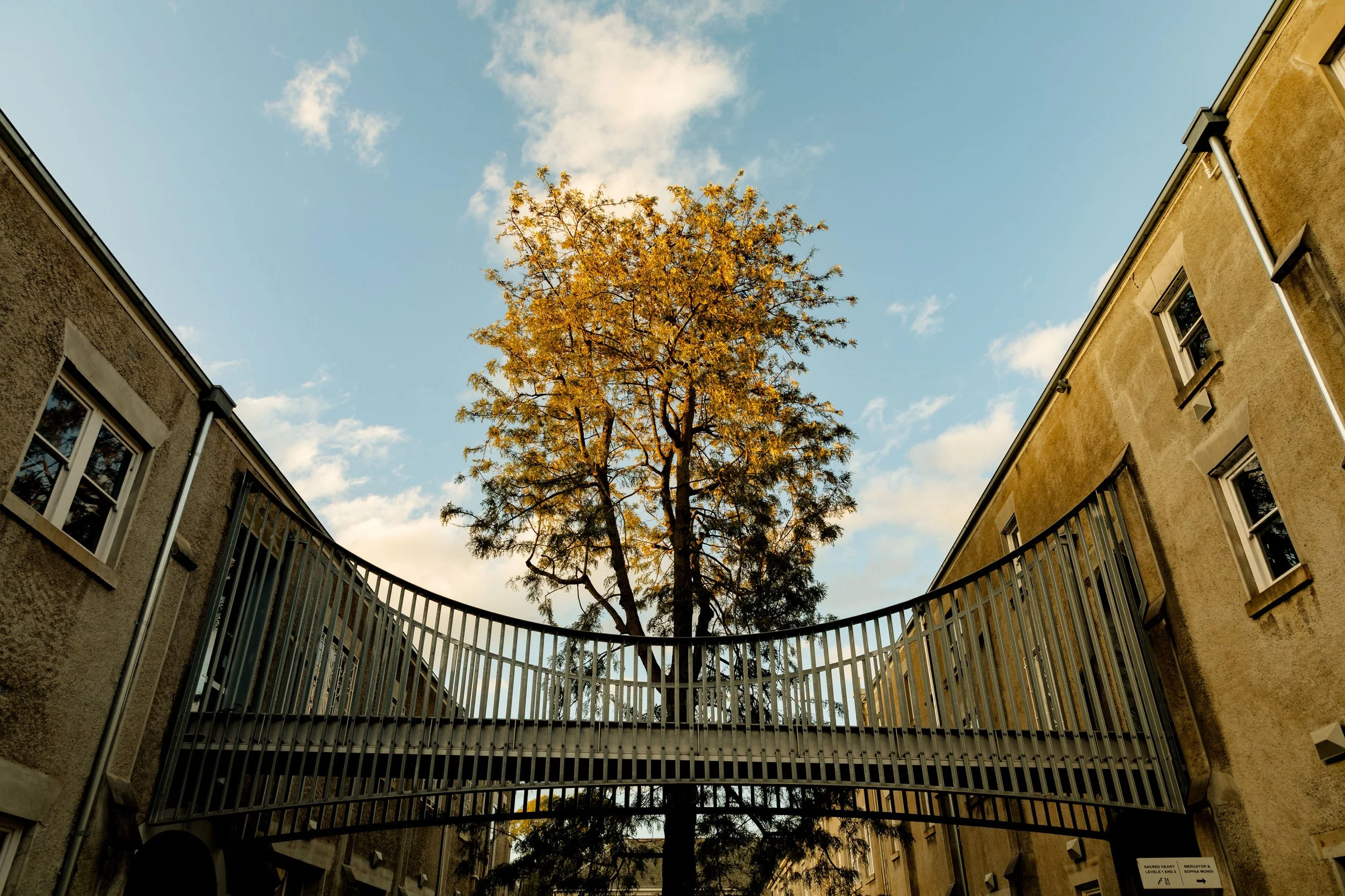 A view of a tall tree with yellow leaves seen from below between two beige apartment buildings during daytime, with a sky that has some clouds.
