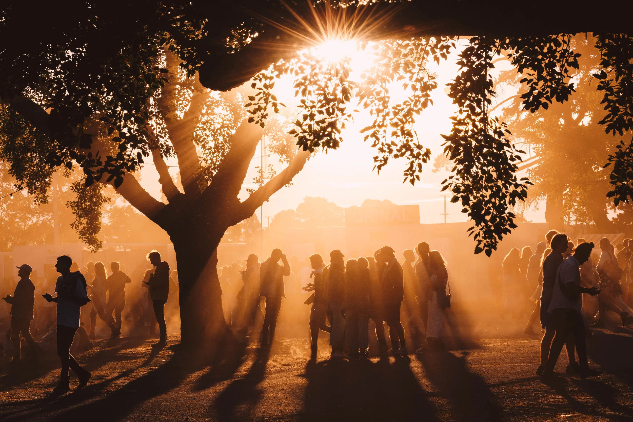 People gathered outdoors in the warm glow of the setting sun, with long shadows cast on the ground by a large tree in the foreground.