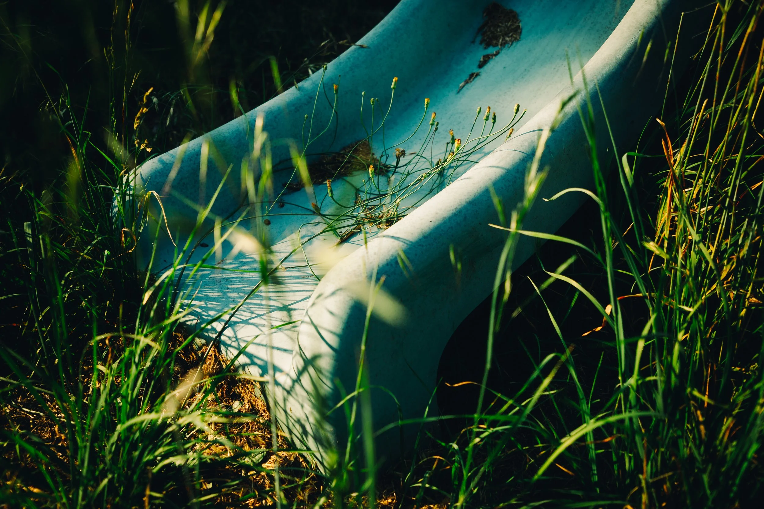 An abandoned white plastic bathtub surrounded by grass and weeds outdoors, with sunlight casting shadows.