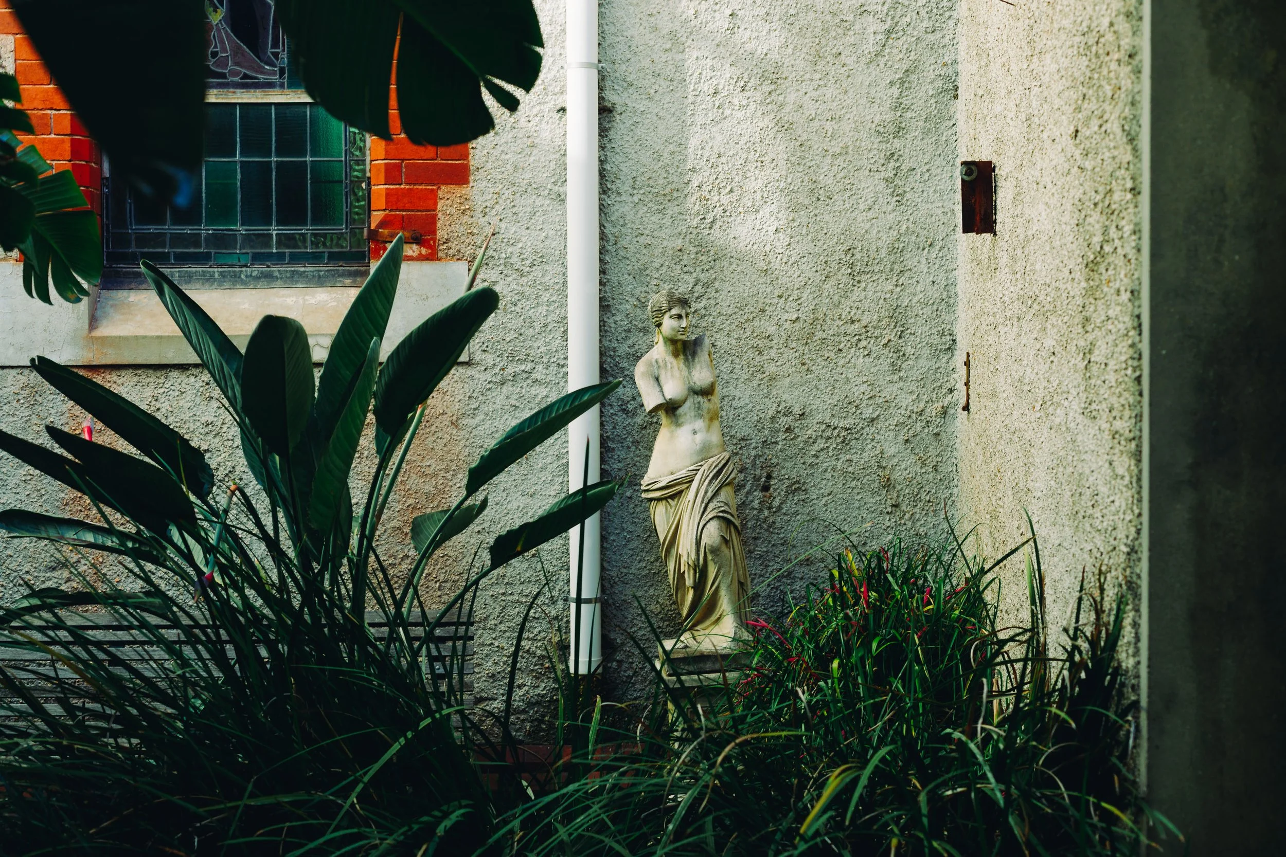 A classical style statue of a woman without arms, standing in a garden corner with lush green plants and a textured wall behind, near a window with iron bars and a white drain pipe.