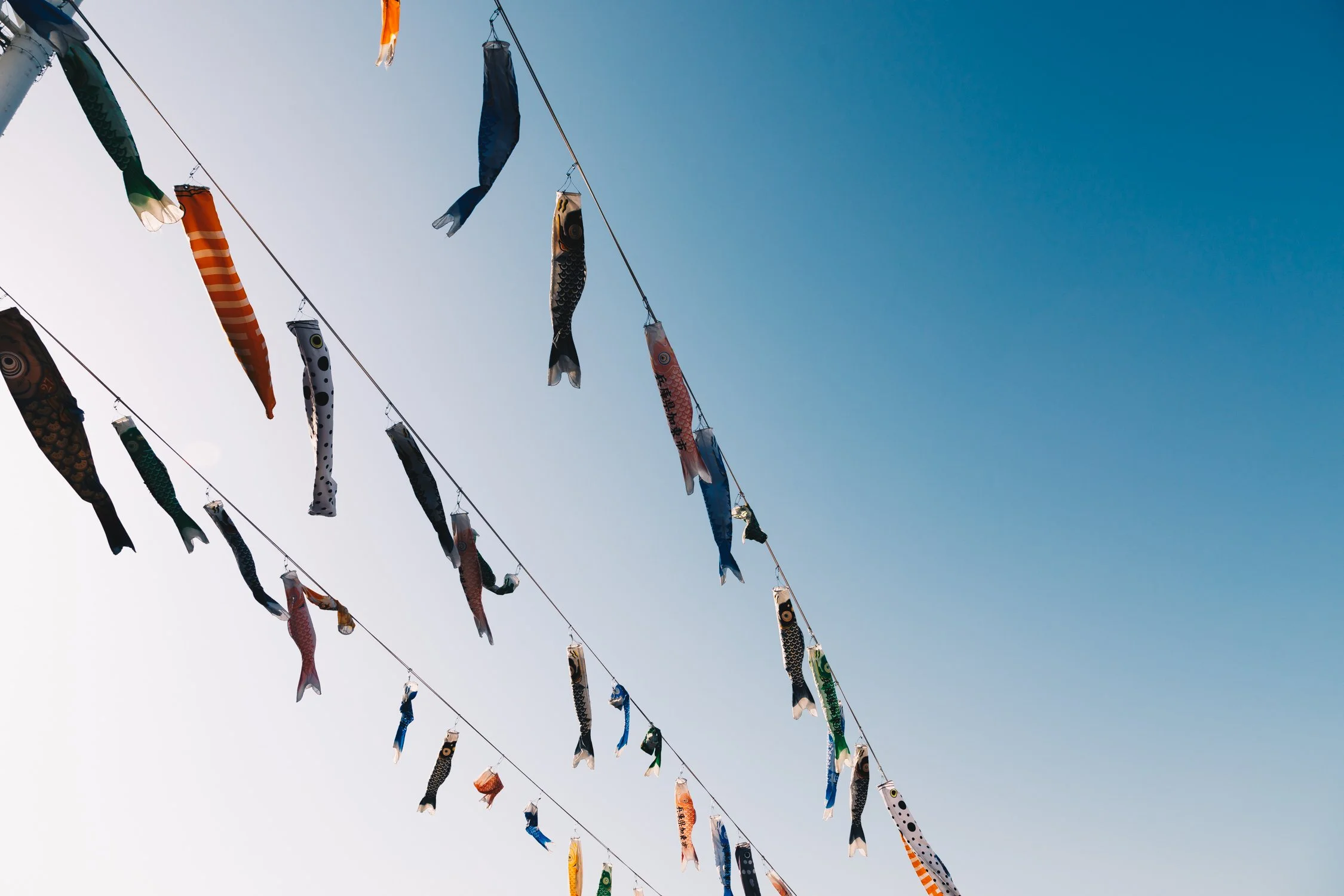 Colorful carp-shaped windsocks hanging in the air against a clear blue sky.