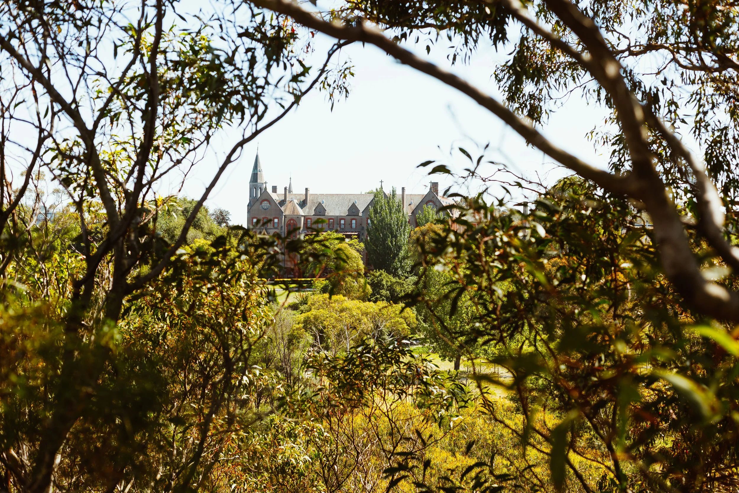A castle-like building with a tower, partially obscured by trees and foliage in the foreground, under a clear sky.
