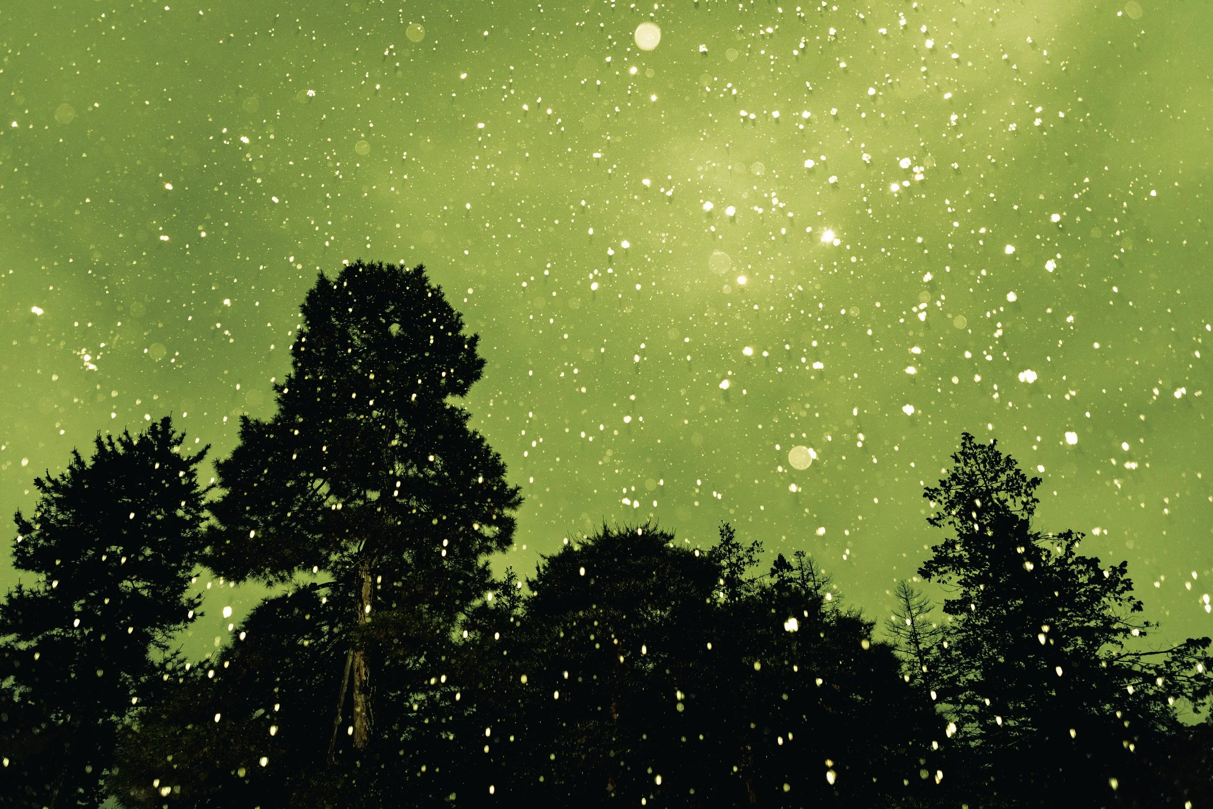 Silhouetted trees beneath a green night sky with falling snow or rain.