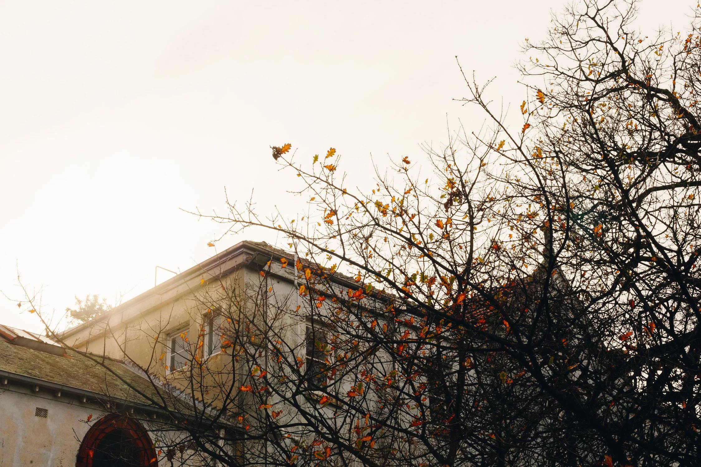 Tree with bare branches and some orange leaves in front of an old building with a pointed roof and arched window, under a cloudy, overcast sky.
