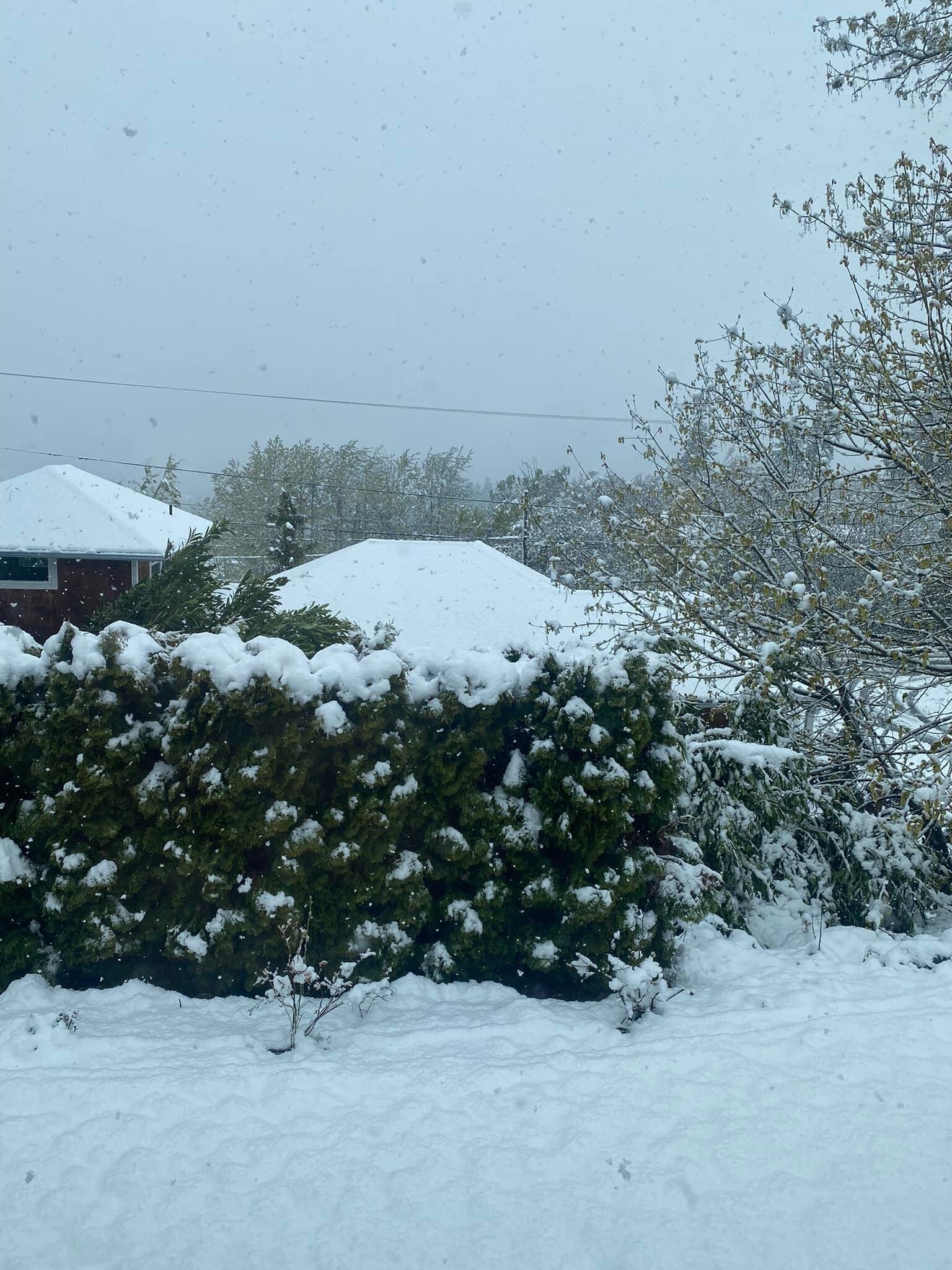 There&rsquo;s something extra mesmerizing about an APRIL snow ❄️