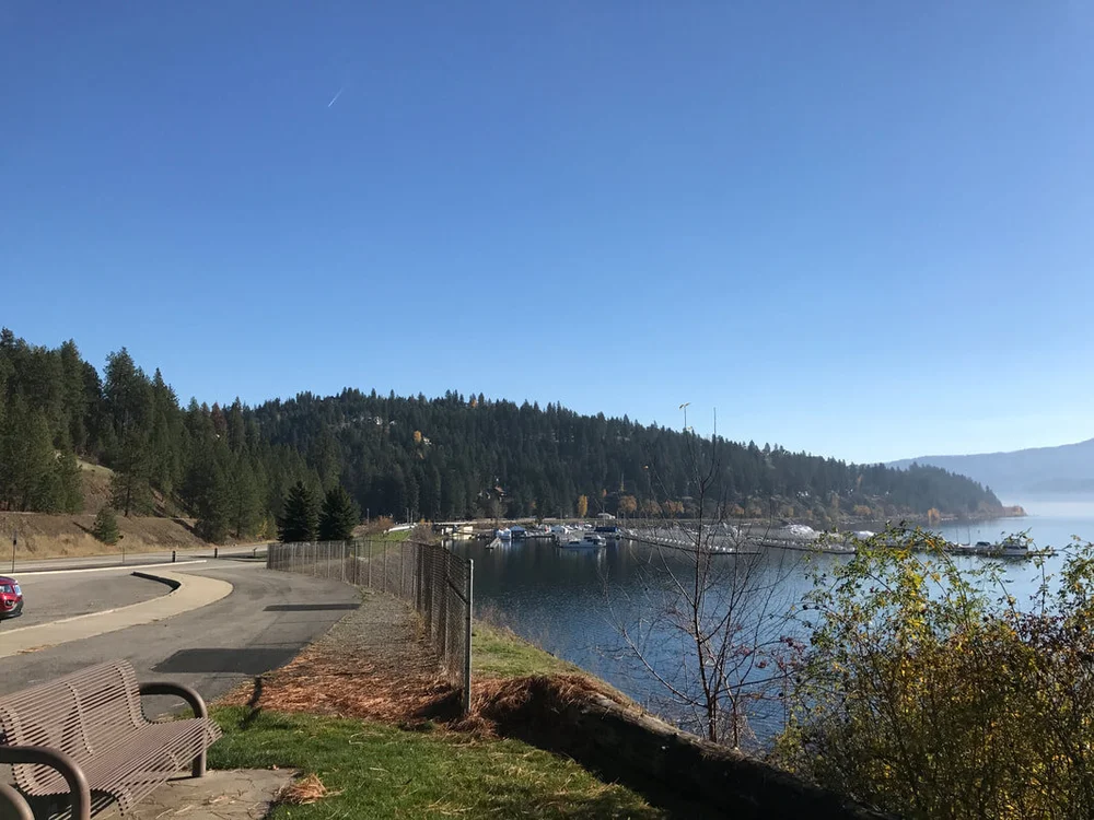 a0444ade056465fffa877ff56926cf3a_orig.jpeg