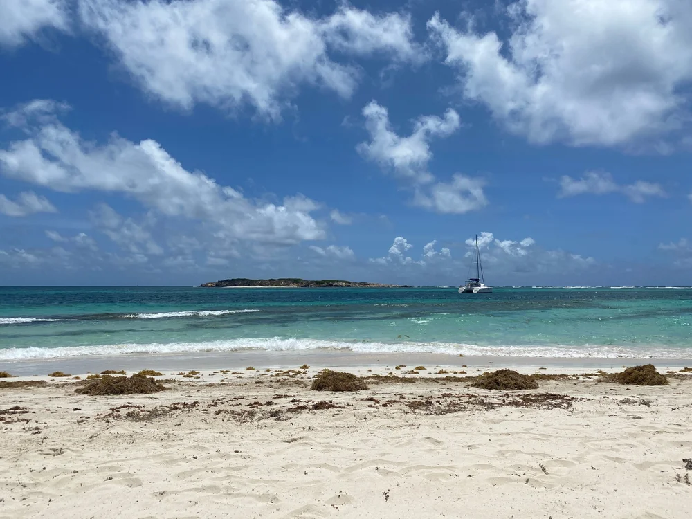 IMG_5295.jpeg