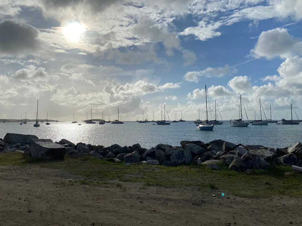 IMG_5313.jpeg