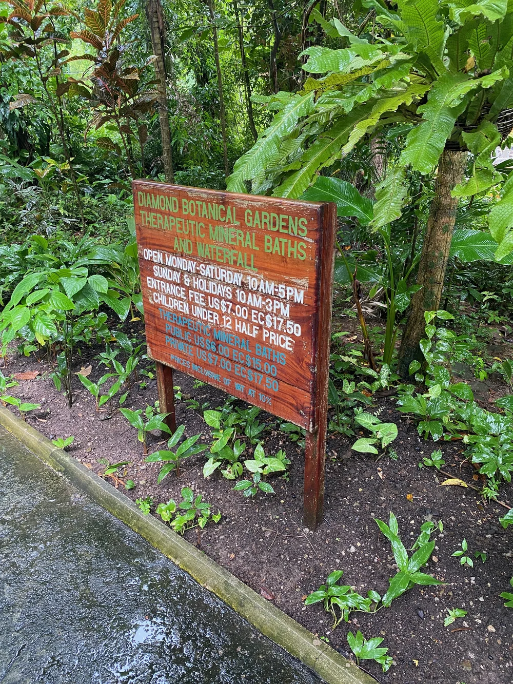 IMG_7801.jpeg