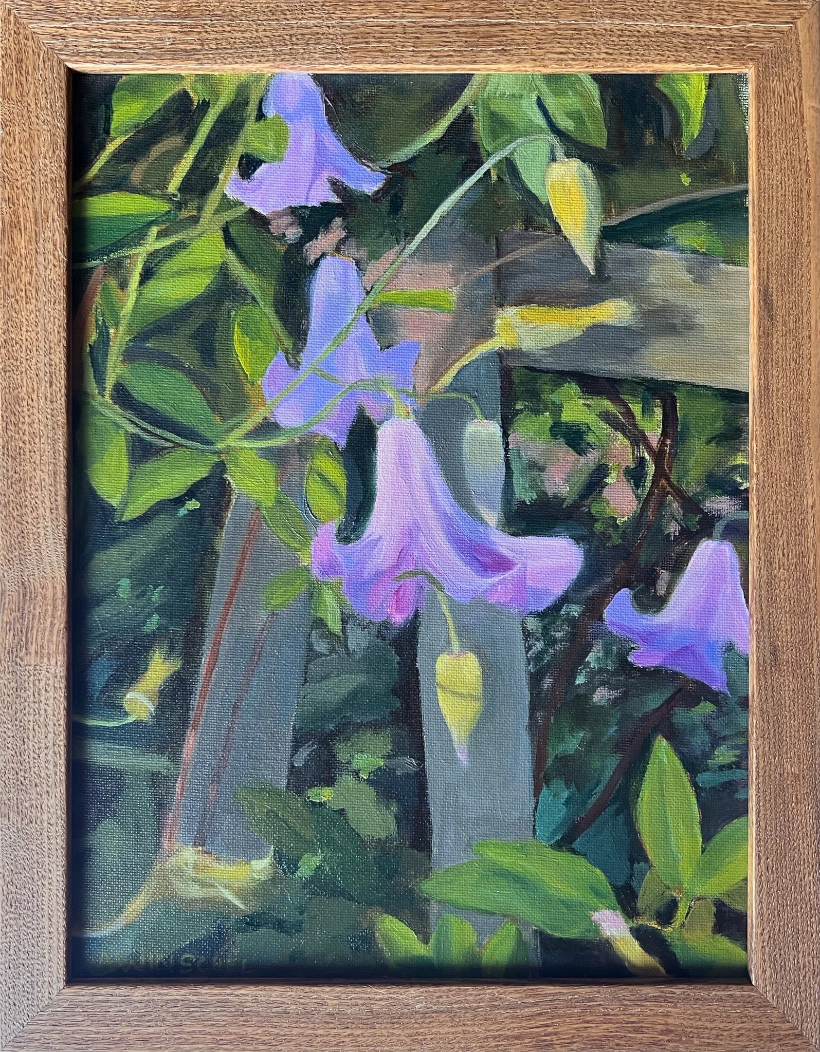 Purple Clematis