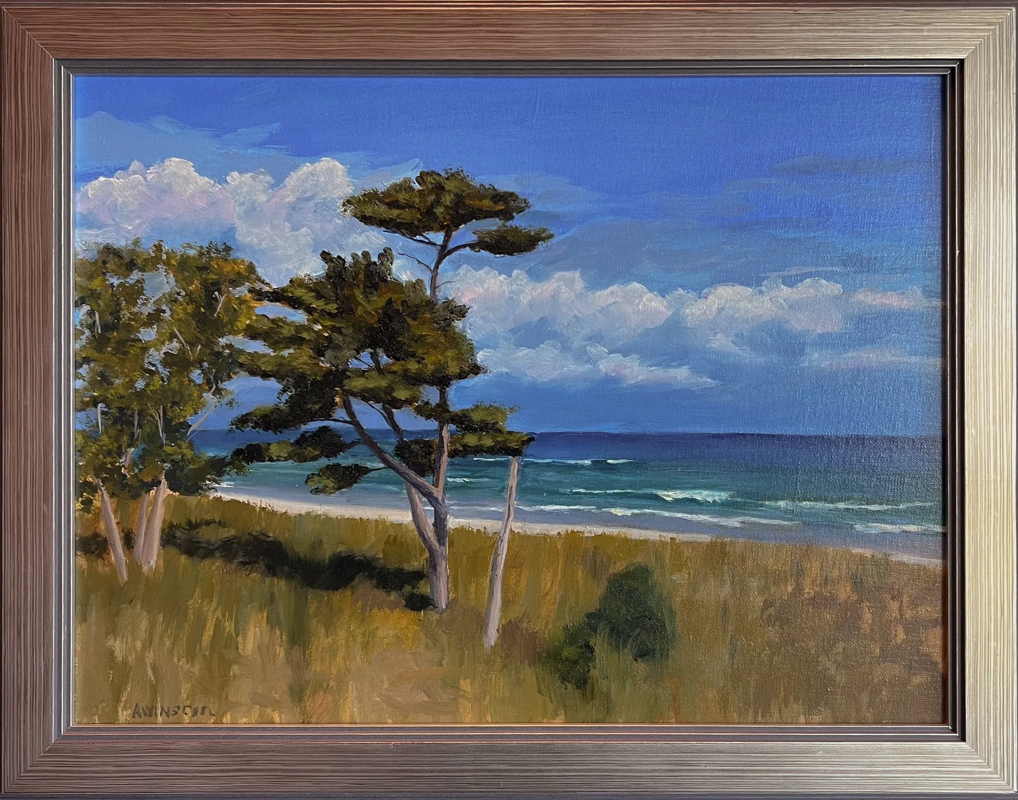 Kohler-Andrae State Park