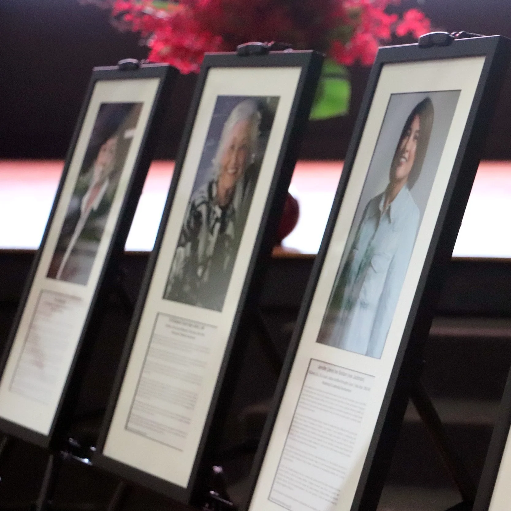 Portrait Gallery Induction 2024