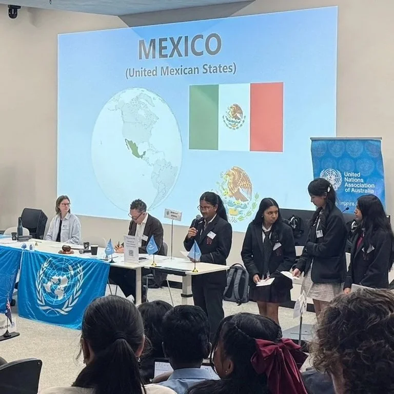 CHES Model UN.