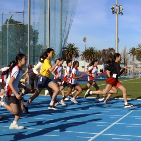 Sports At Mac.Rob | June Update.