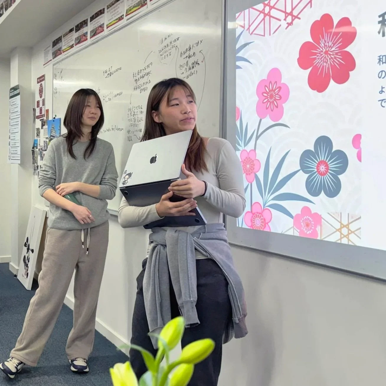 Languages at Mac.Rob: June Update.