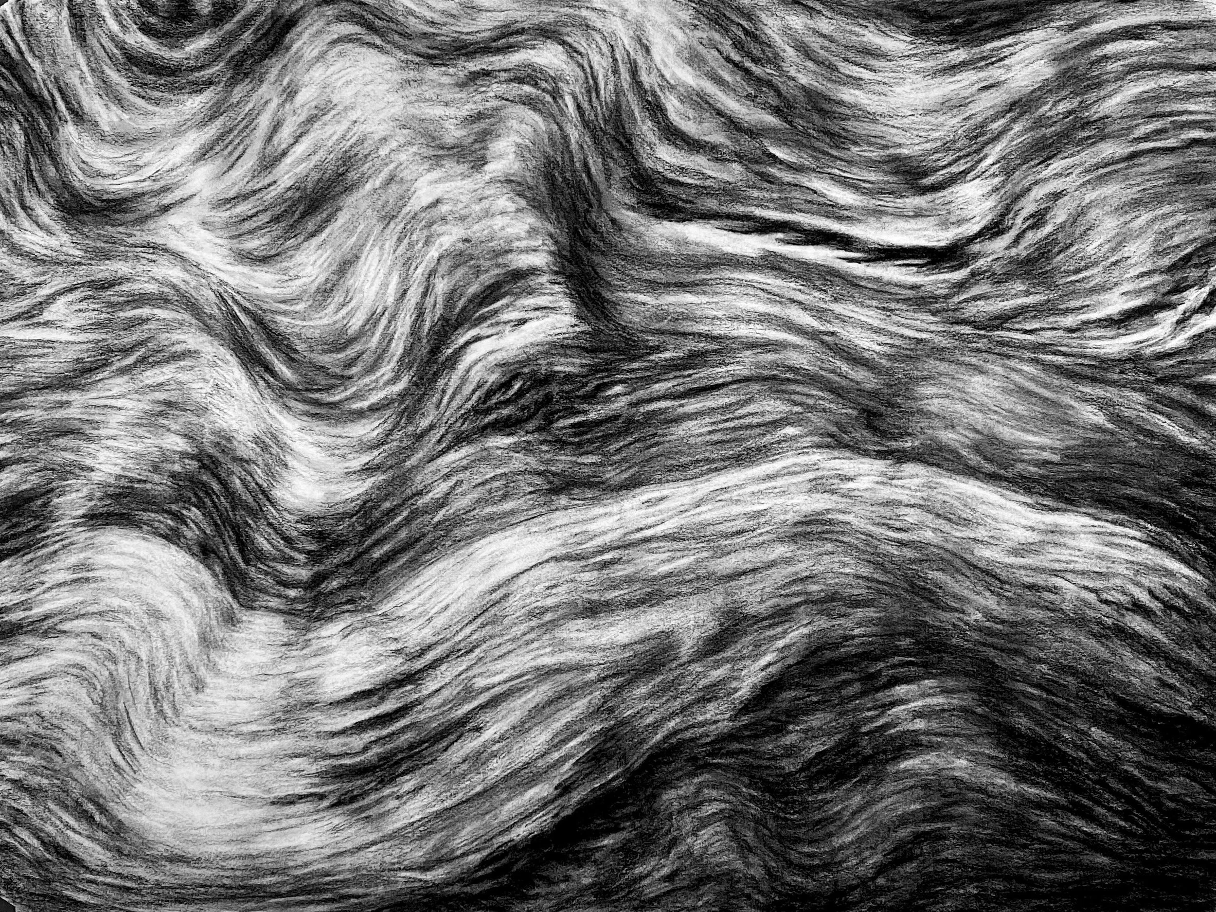 Topographic Memory_300.jpeg