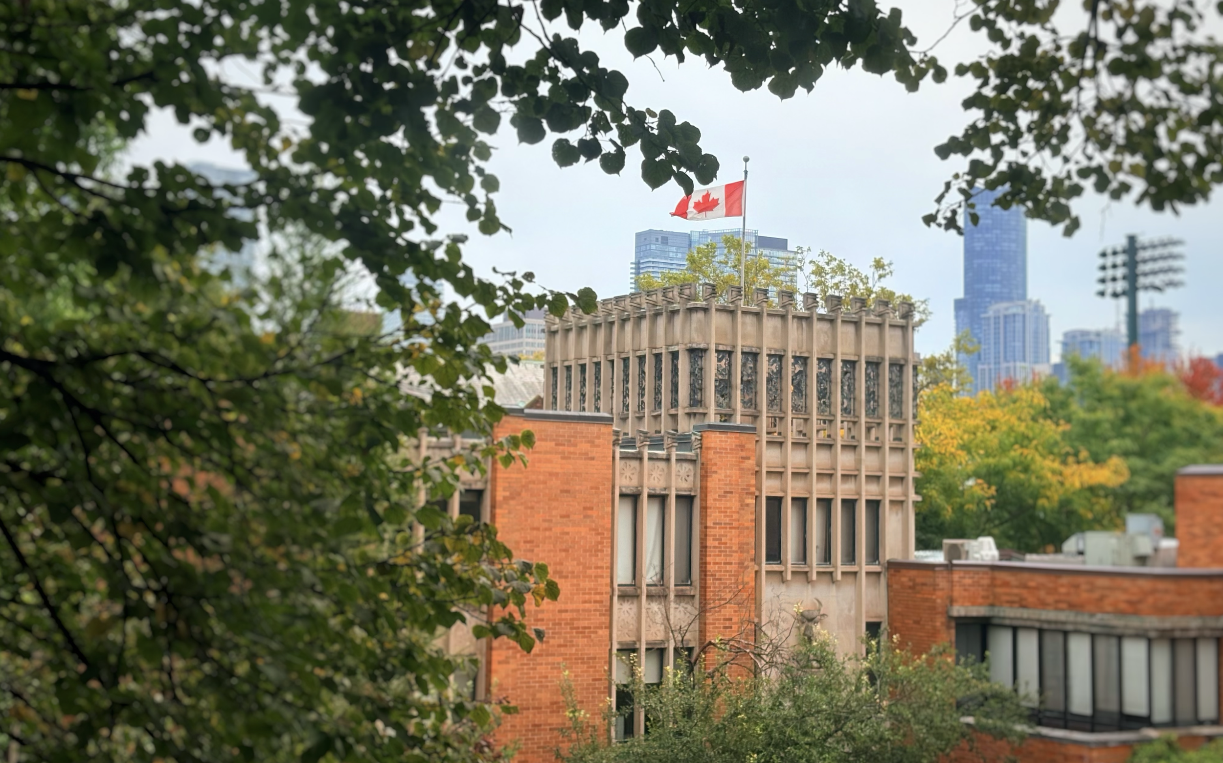 Toronto Arts Report Interview