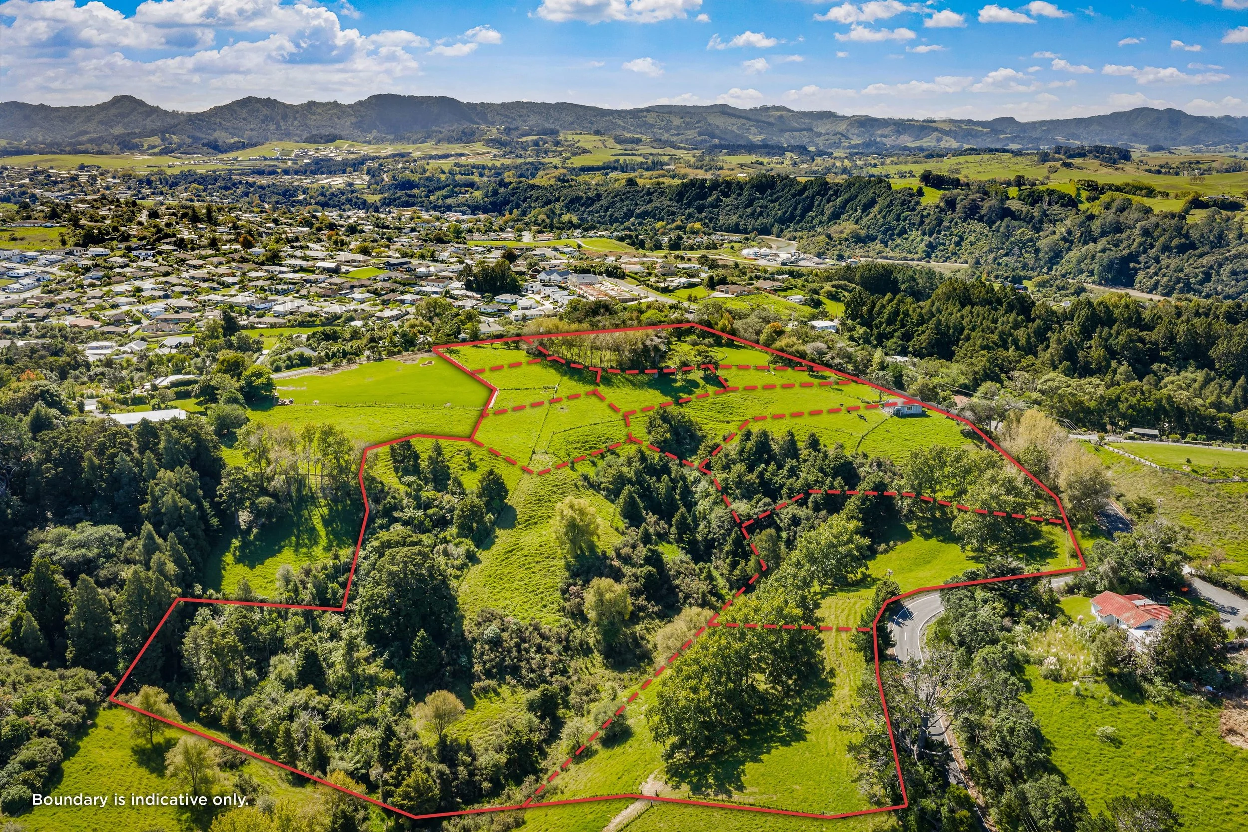 12_46 Wilson Road [Mar2026] (Print) Boundary.jpeg