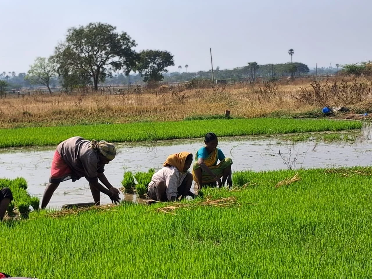 WhatsApp Image 2026-01-21 at 10.56.01 (1).jpeg