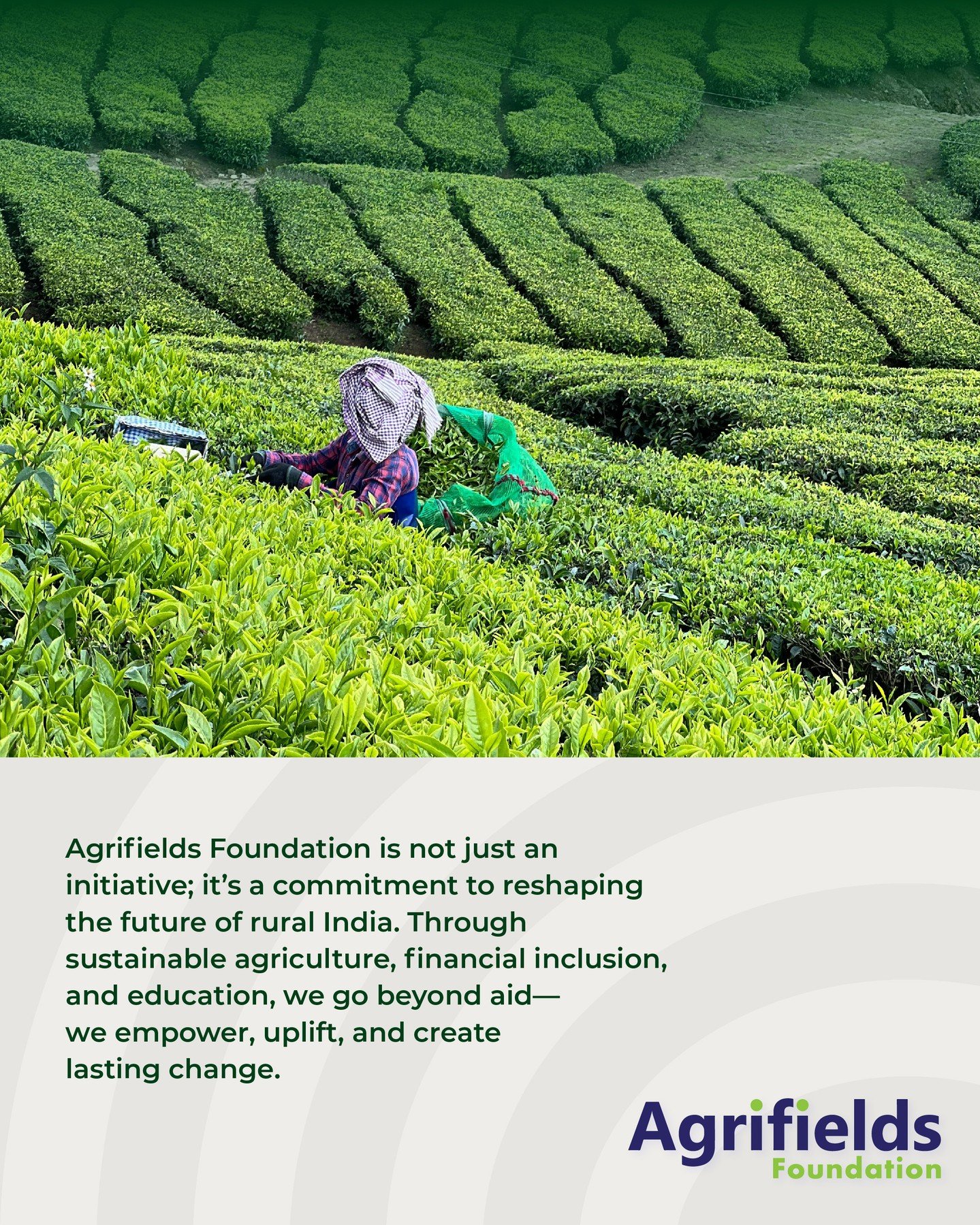 At Agrifields Foundation, we believe in long-term solutions, not just short-term aid. By supporting farmers with education, financial inclusion, and sustainable practices, we're building a future where rural communities thrive.

#AgrifieldsFoundation
