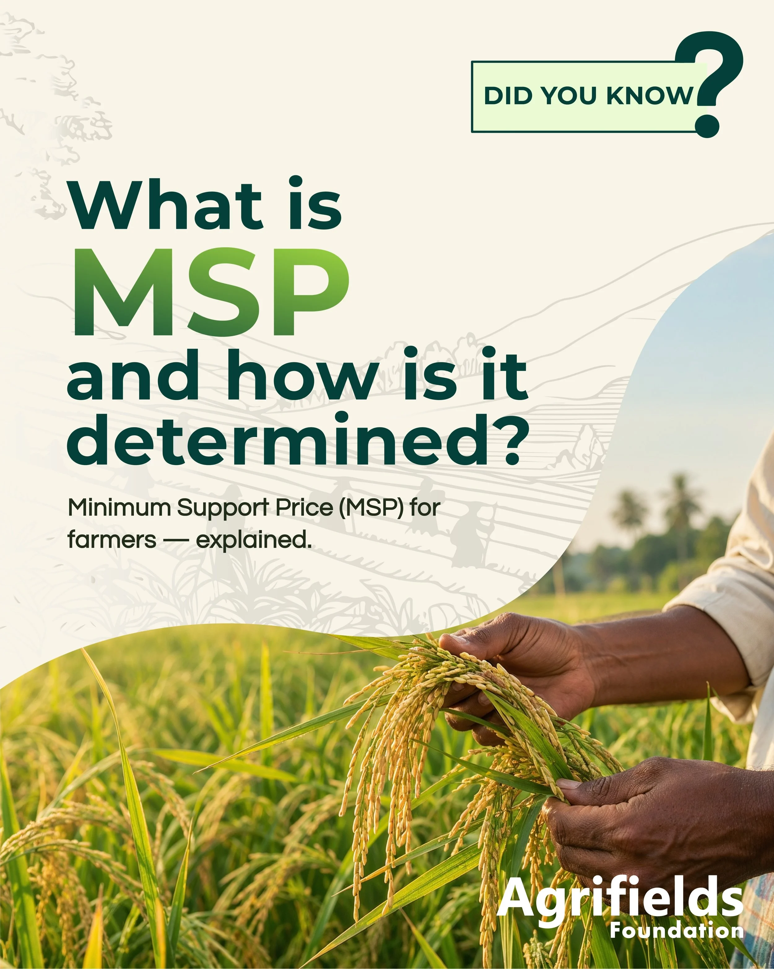 🌱 Did You Know?

What is Minimum Support Price (MSP), and what does it mean for farmers?

At Agrifields Foundation, we believe that access to knowledge helps farmers make more informed decisions. Understanding MSP is one part of navigating crop pric