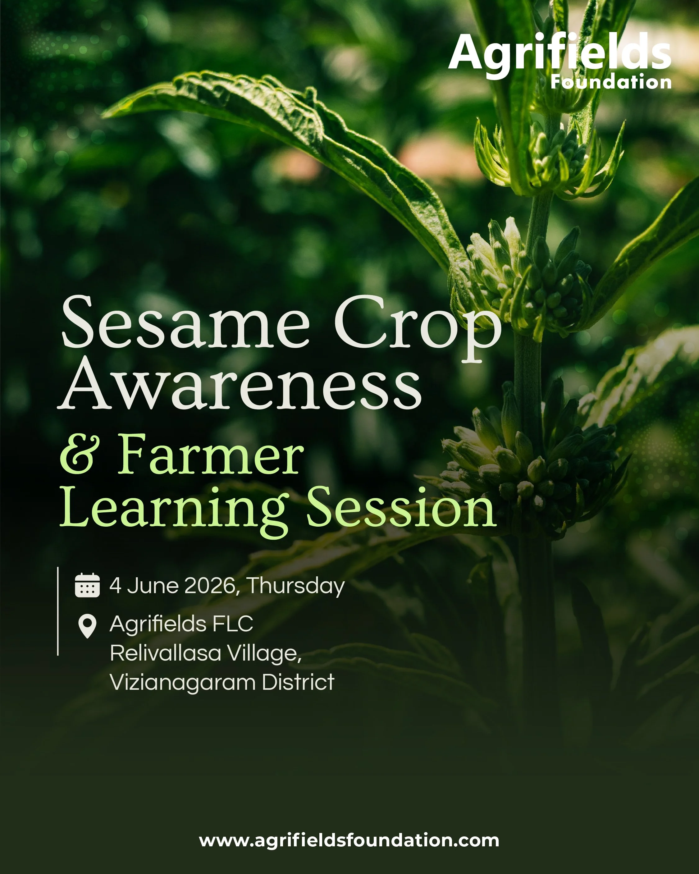🌱 Sesame Crop Awareness &amp; Farmer Learning Session

Around 50 sesame farmers gathered at the Agrifields Farmer Learning Centre for an interactive session on improving crop productivity, quality, and sustainability. Led by a senior agricultural ex