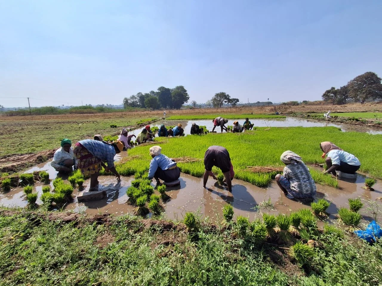 WhatsApp Image 2026-01-21 at 10.56.02.jpeg