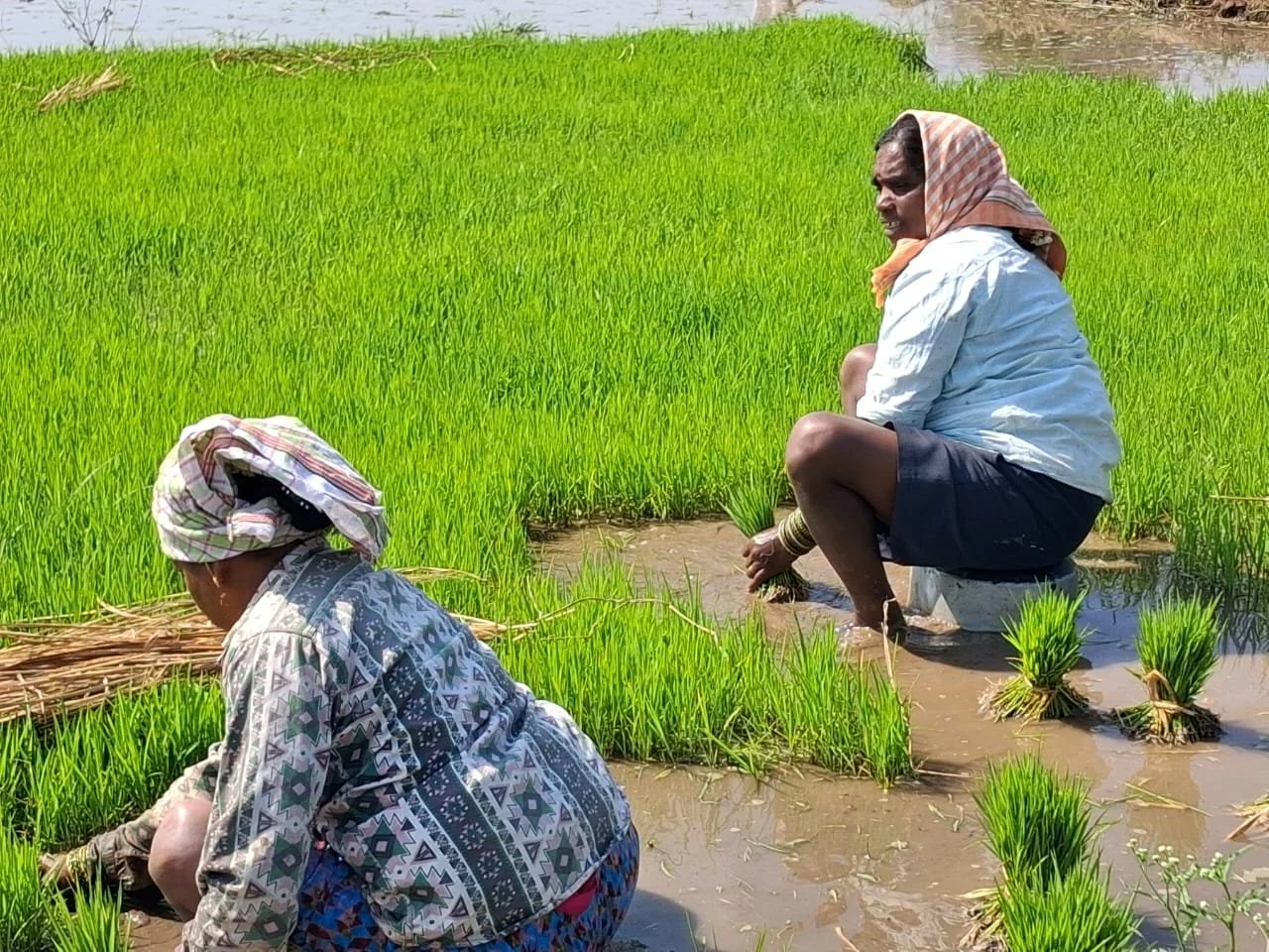 WhatsApp Image 2026-01-21 at 10.56.00 (2).jpeg