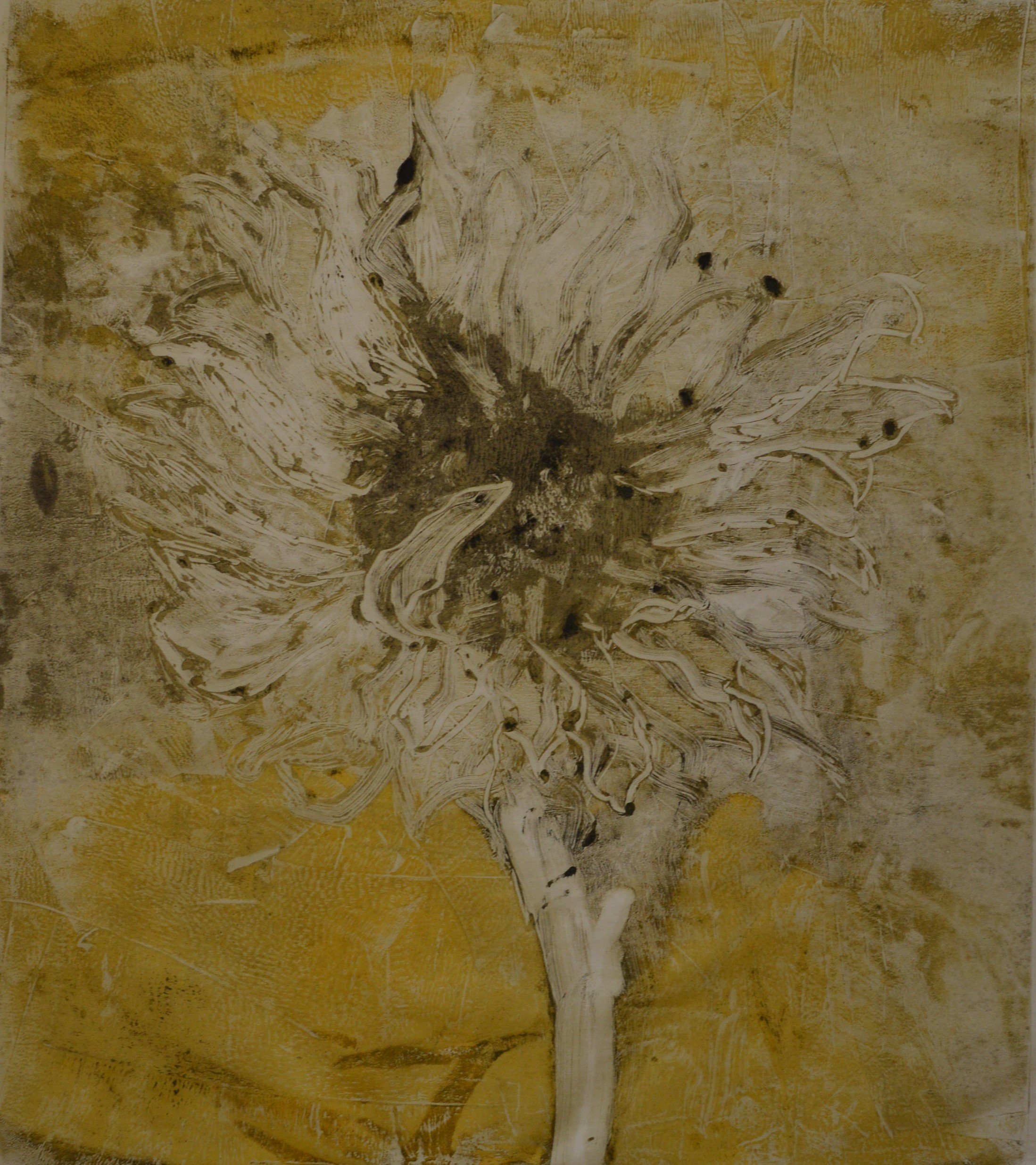 Anna Parker, Sunflower III, oil monoprint on paper, 30 x 40cm, £440.JPG