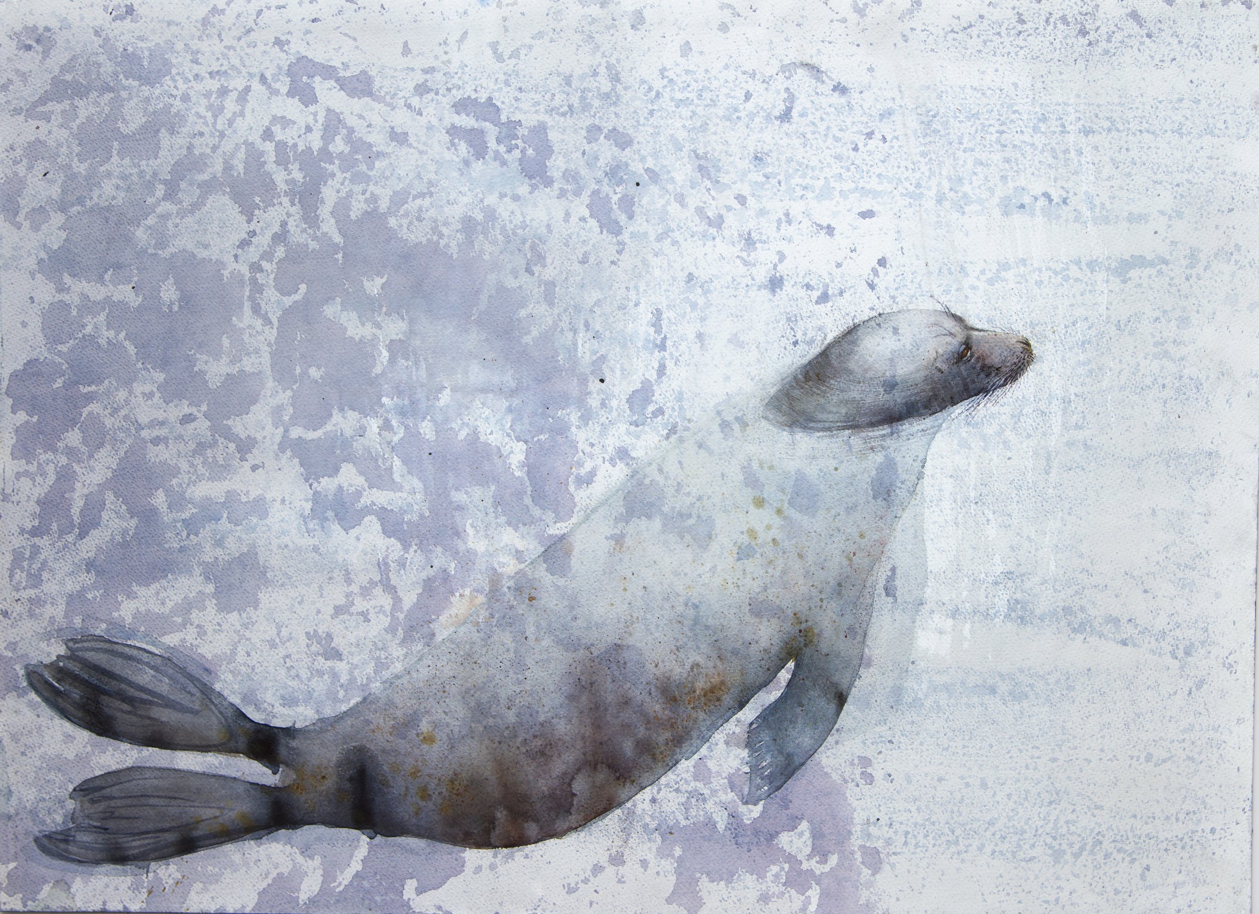 Claire Harkess, Tay Seal, Perth 54x76cm watercolour, £3,300.jpg