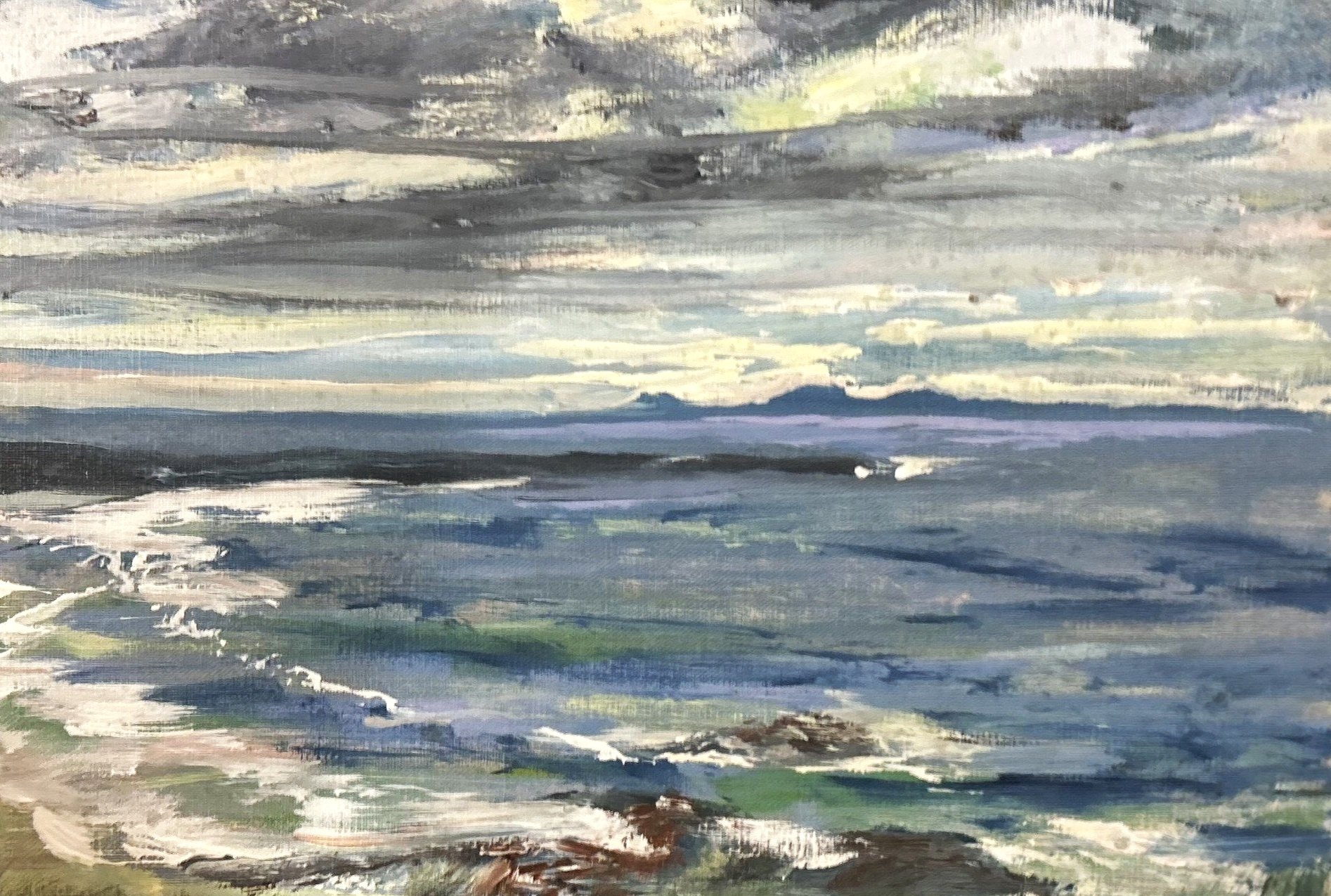 Zanna Wilson, Looking North from the Green Beach, Tiree