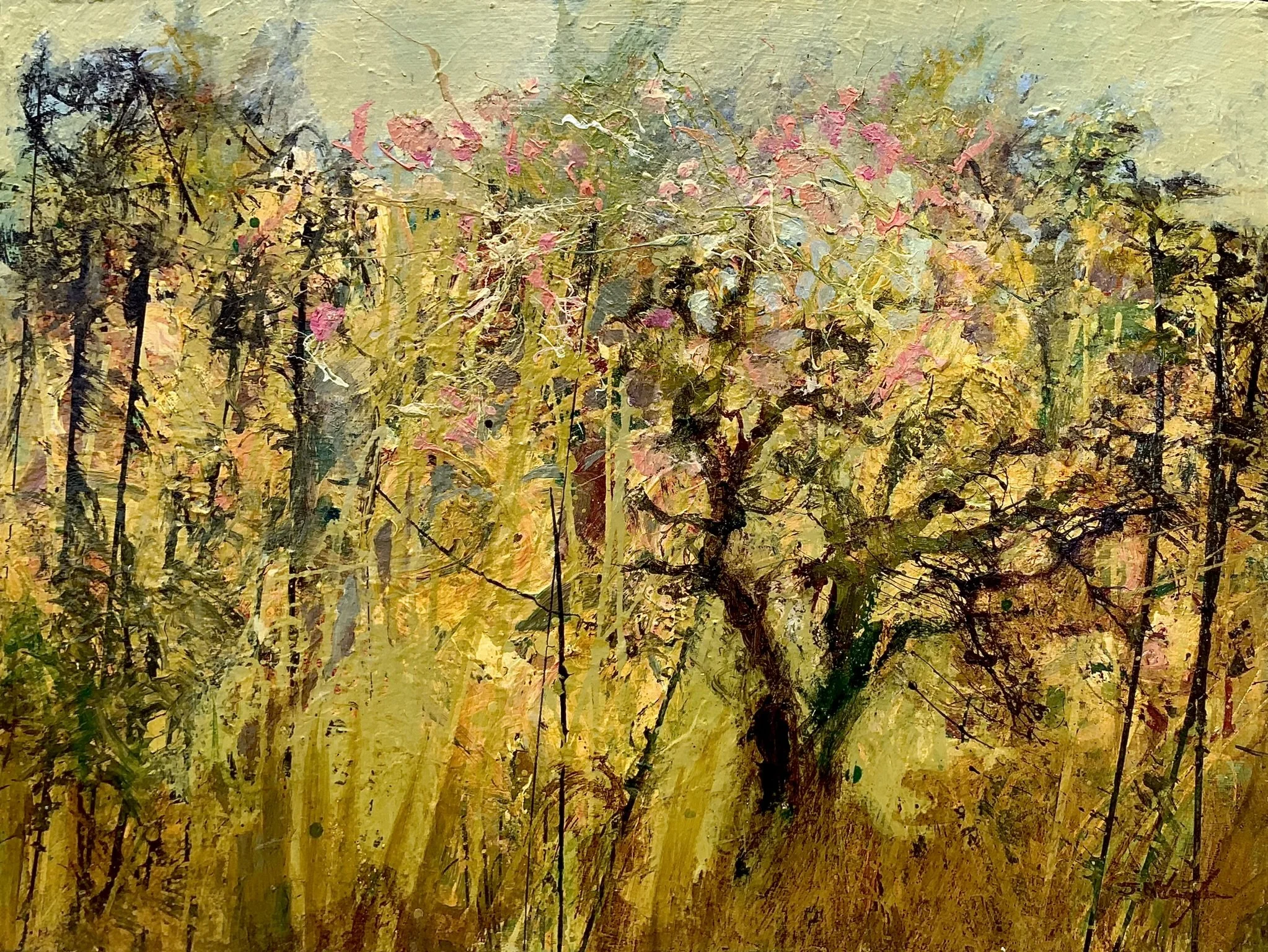 John McClenaghen, Apple Blossom, Sunlight and Shade