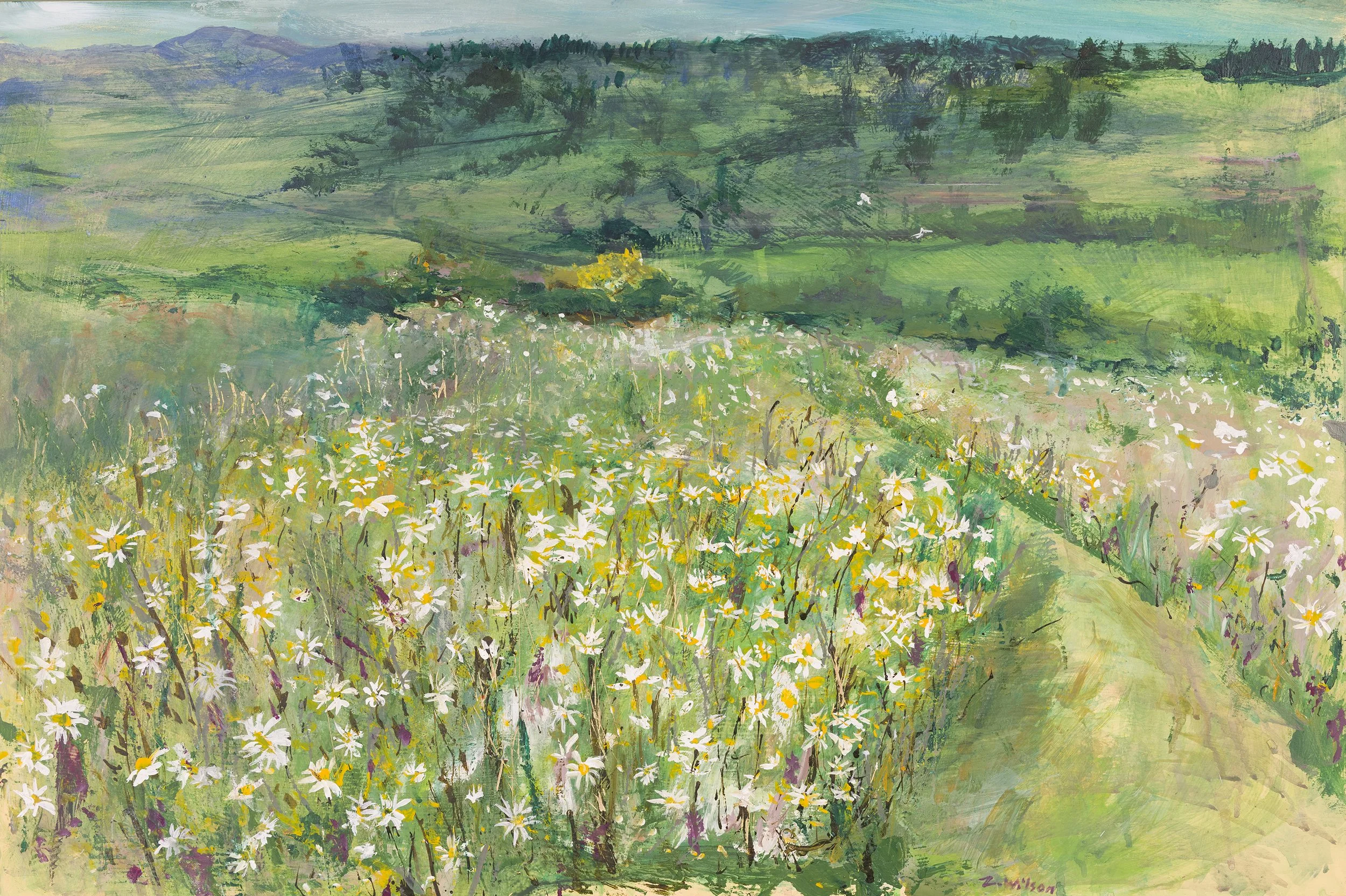 Ballintaggart Meadow in Summer