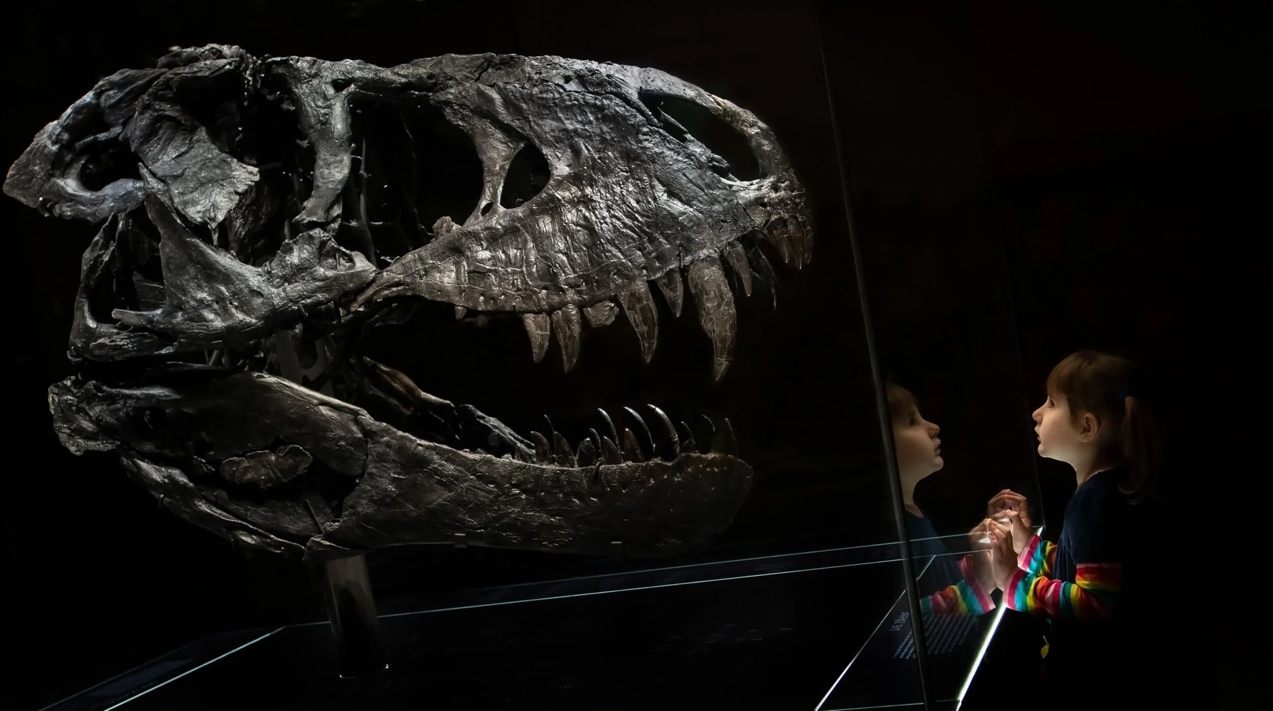 Statens Naturhistoriske Museum