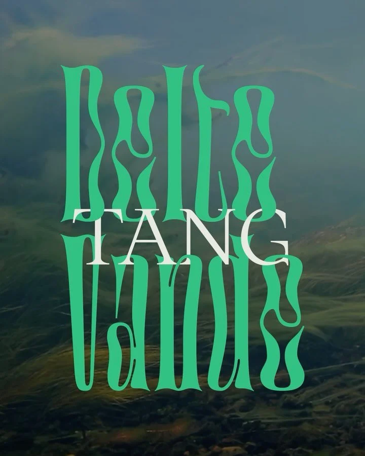 Delte Vande, Tang II 

Vi har lavet identitet til en sanselig udstilling om tangens forunderlige verden. I Br&oslash;nsh&oslash;j Vandt&aring;rn blev kunst, duft, musik, mad og rum flettet sammen til en stemningsfuld og dragende oplevelse. 

Kurator: