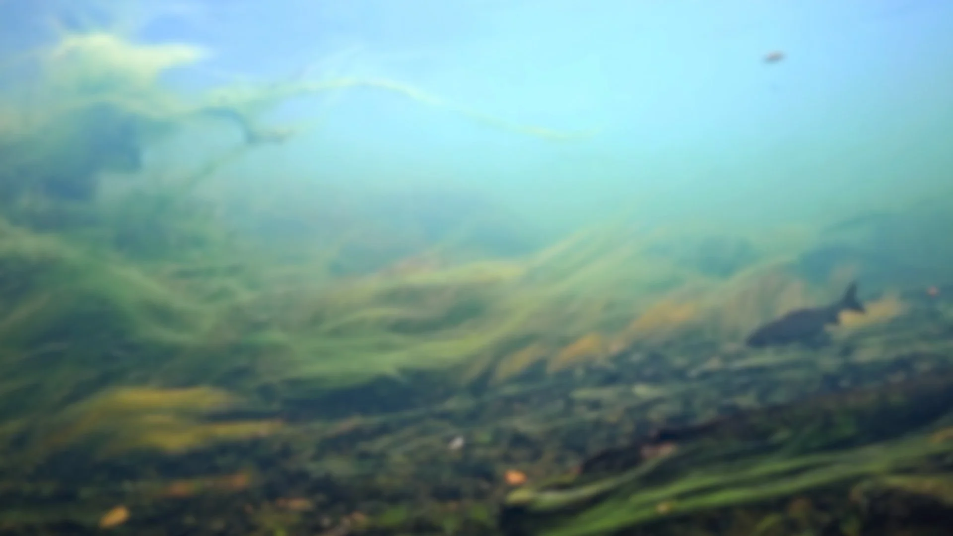 DelteVande_Hero_Blur_fallbackimage.jpg