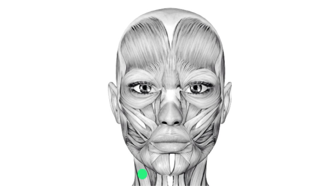 The Brain Muscle Connection That Face Yoga Can Fix — Niki Face Yoga
