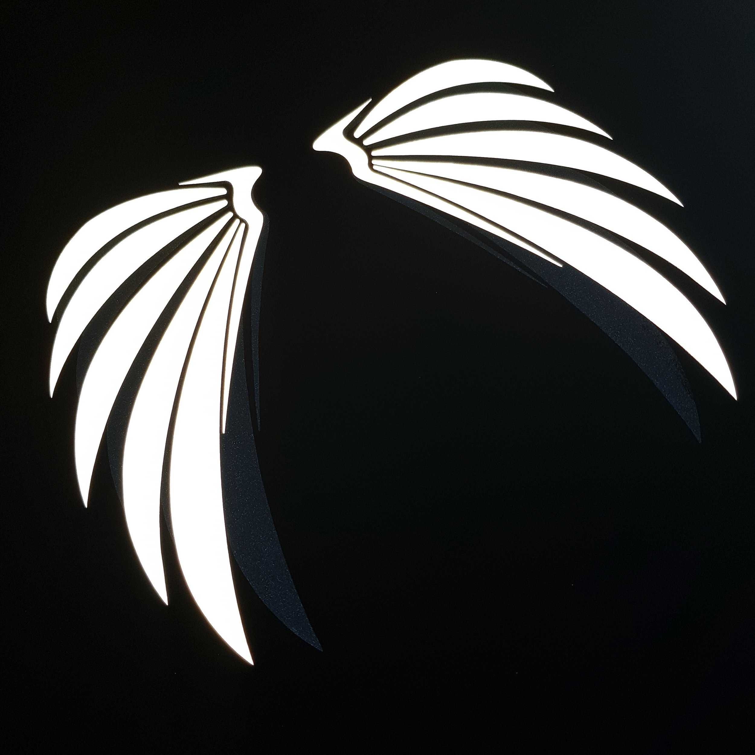 Sparklewear Retro-reflective Wings