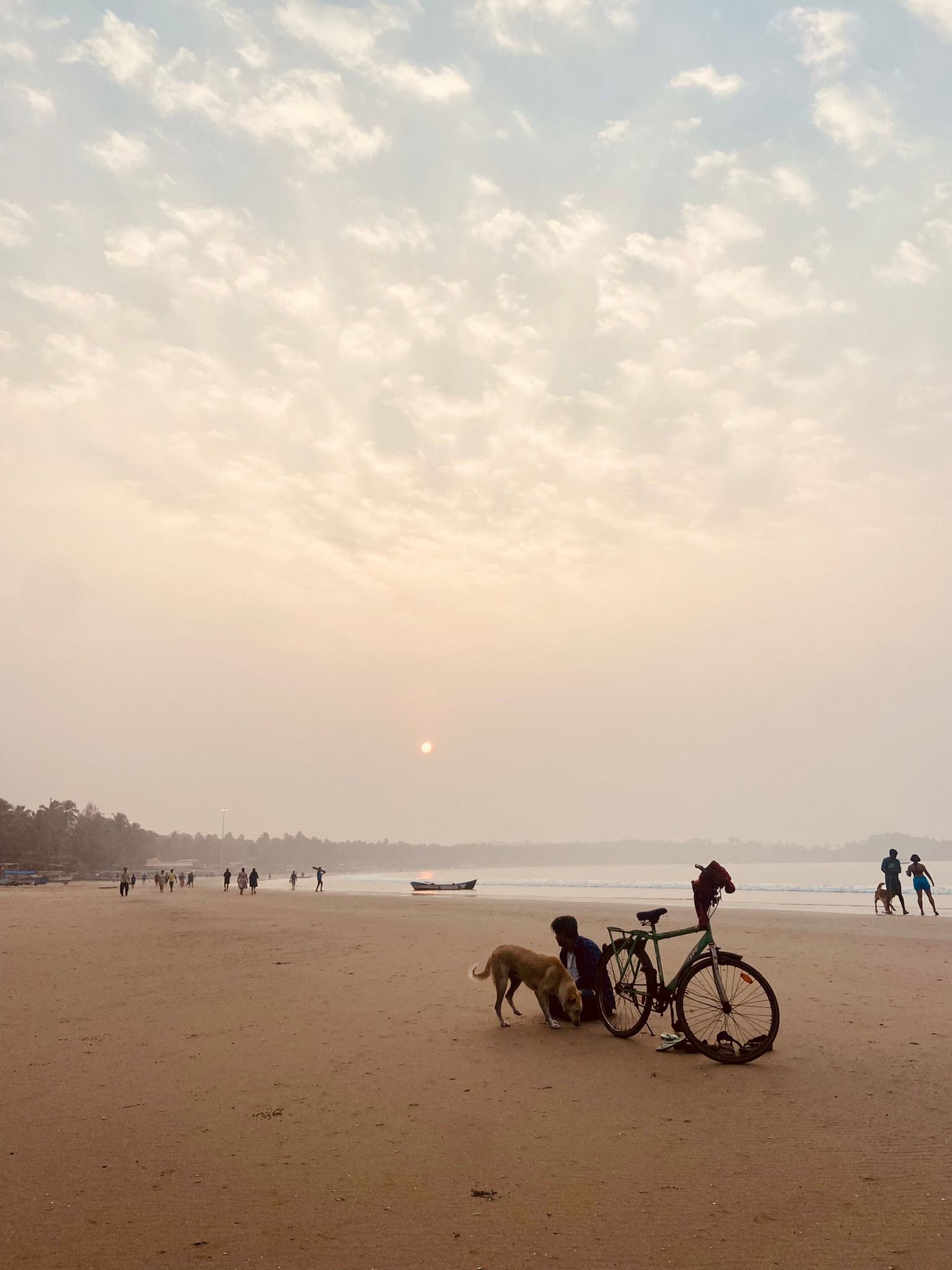 Sandy beach at sunset with people walking, a bicycle, a dog, and silhouettes of distant trees this is at our yoga retreat in india Goa.